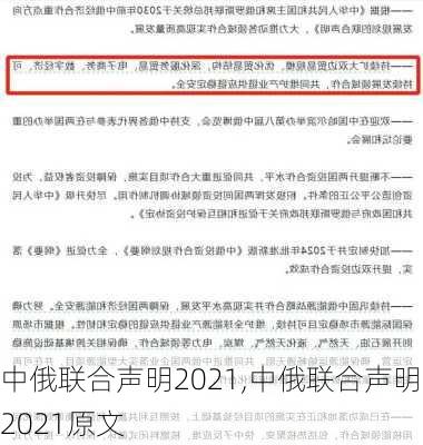 中俄联合声明2021,中俄联合声明2021原文