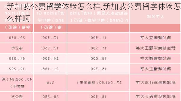 新加坡公费留学体验怎么样,新加坡公费留学体验怎么样啊