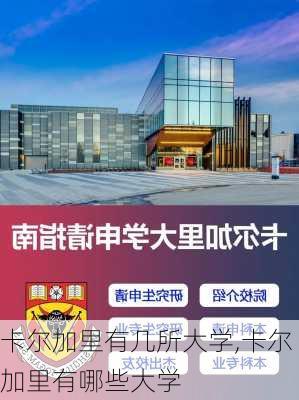 卡尔加里有几所大学,卡尔加里有哪些大学