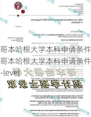 哥本哈根大学本科申请条件,哥本哈根大学本科申请条件A-level