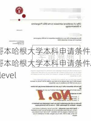 哥本哈根大学本科申请条件,哥本哈根大学本科申请条件A-level