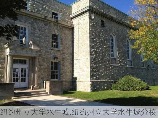 纽约州立大学水牛城,纽约州立大学水牛城分校