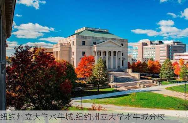 纽约州立大学水牛城,纽约州立大学水牛城分校