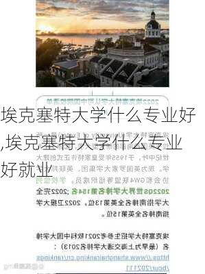 埃克塞特大学什么专业好,埃克塞特大学什么专业好就业