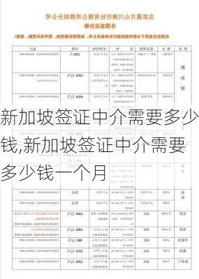 新加坡签证中介需要多少钱,新加坡签证中介需要多少钱一个月