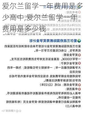 爱尔兰留学一年费用是多少高中,爱尔兰留学一年费用是多少钱