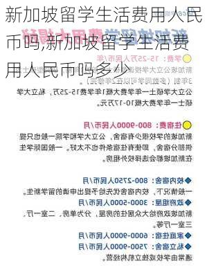 新加坡留学生活费用人民币吗,新加坡留学生活费用人民币吗多少