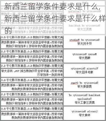 新西兰留学条件要求是什么,新西兰留学条件要求是什么样的