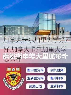 加拿大卡尔加里大学好不好,加拿大卡尔加里大学怎么样