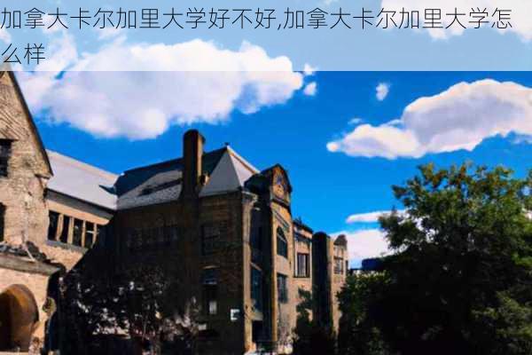 加拿大卡尔加里大学好不好,加拿大卡尔加里大学怎么样