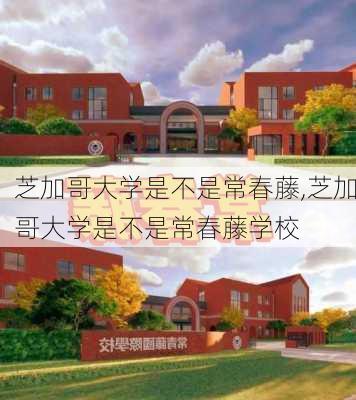 芝加哥大学是不是常春藤,芝加哥大学是不是常春藤学校