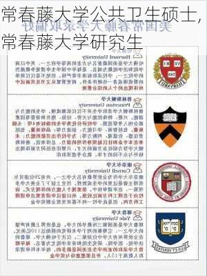 常春藤大学公共卫生硕士,常春藤大学研究生