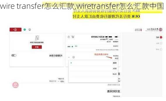 wire transfer怎么汇款,wiretransfer怎么汇款中国