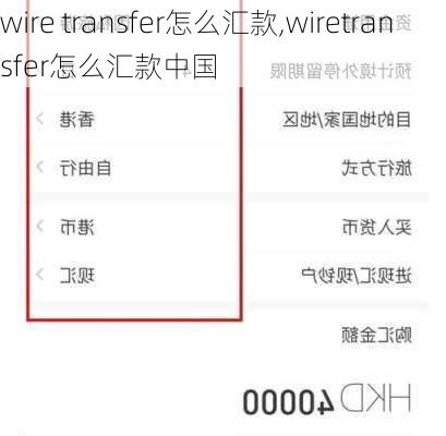 wire transfer怎么汇款,wiretransfer怎么汇款中国