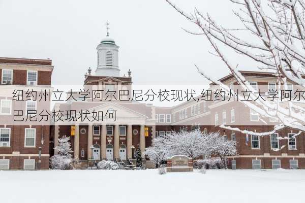 纽约州立大学阿尔巴尼分校现状,纽约州立大学阿尔巴尼分校现状如何