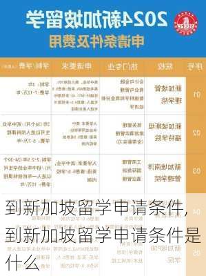 到新加坡留学申请条件,到新加坡留学申请条件是什么