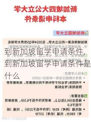 到新加坡留学申请条件,到新加坡留学申请条件是什么