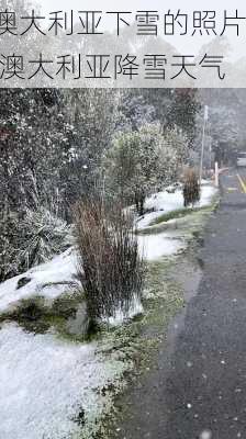 澳大利亚下雪的照片,澳大利亚降雪天气