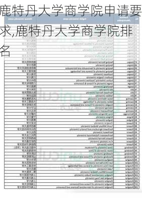 鹿特丹大学商学院申请要求,鹿特丹大学商学院排名