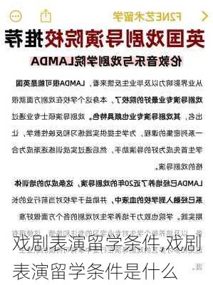 戏剧表演留学条件,戏剧表演留学条件是什么