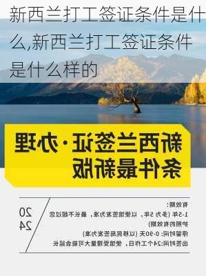 新西兰打工签证条件是什么,新西兰打工签证条件是什么样的