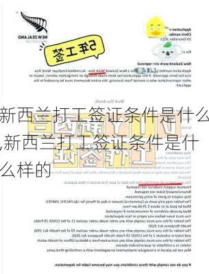 新西兰打工签证条件是什么,新西兰打工签证条件是什么样的