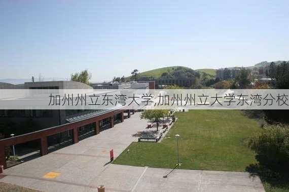 加州州立东湾大学,加州州立大学东湾分校