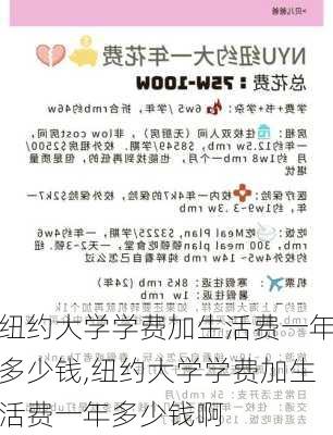 纽约大学学费加生活费一年多少钱,纽约大学学费加生活费一年多少钱啊