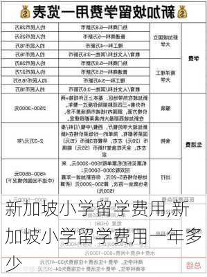 新加坡小学留学费用,新加坡小学留学费用一年多少