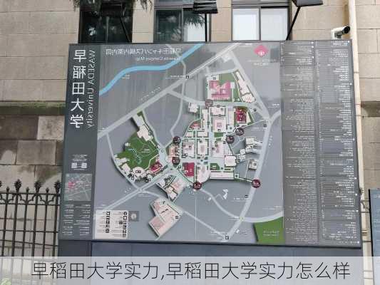 早稻田大学实力,早稻田大学实力怎么样