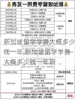 新加坡留学学费大概多少钱一年,新加坡留学学费大概多少钱一年啊