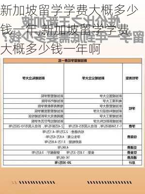 新加坡留学学费大概多少钱一年,新加坡留学学费大概多少钱一年啊