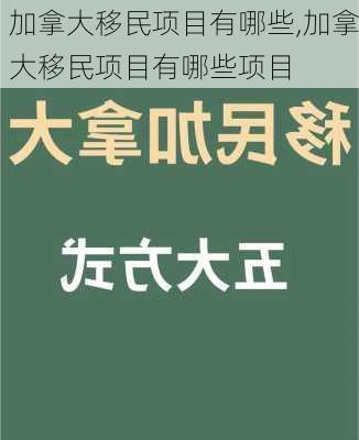 加拿大移民项目有哪些,加拿大移民项目有哪些项目