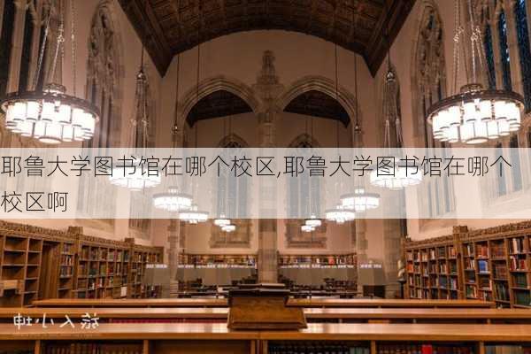 耶鲁大学图书馆在哪个校区,耶鲁大学图书馆在哪个校区啊