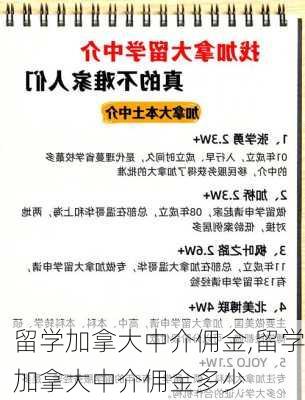 留学加拿大中介佣金,留学加拿大中介佣金多少