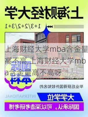 上海财经大学mba含金量高不高,上海财经大学mba含金量高不高呀