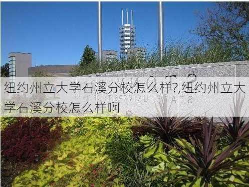 纽约州立大学石溪分校怎么样?,纽约州立大学石溪分校怎么样啊