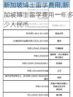 新加坡博士留学费用,新加坡博士留学费用一年多少人民币