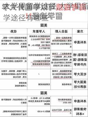 大学里留学途径,大学里留学途径有哪些