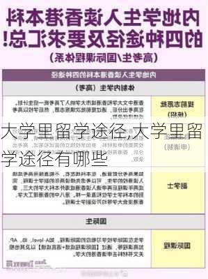 大学里留学途径,大学里留学途径有哪些