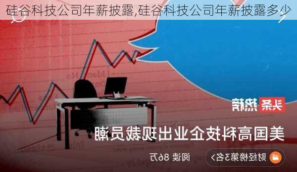 硅谷科技公司年薪披露,硅谷科技公司年薪披露多少