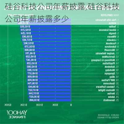 硅谷科技公司年薪披露,硅谷科技公司年薪披露多少