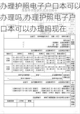 办理护照电子户口本可以办理吗,办理护照电子户口本可以办理吗现在