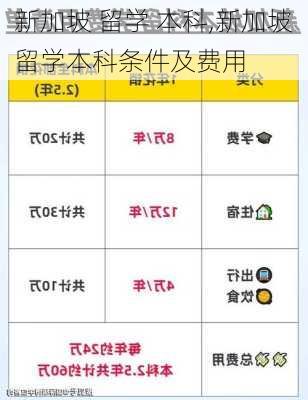 新加坡 留学 本科,新加坡留学本科条件及费用