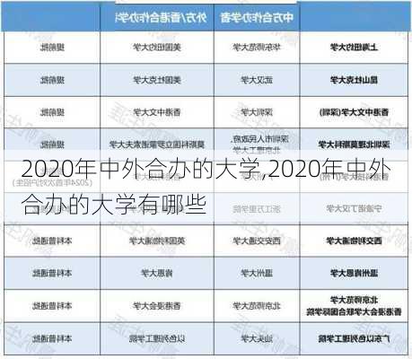 2020年中外合办的大学,2020年中外合办的大学有哪些