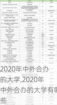 2020年中外合办的大学,2020年中外合办的大学有哪些