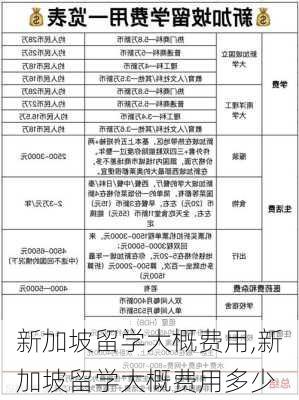 新加坡留学大概费用,新加坡留学大概费用多少