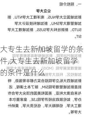 大专生去新加坡留学的条件,大专生去新加坡留学的条件是什么