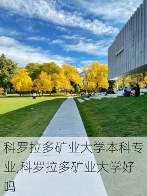 科罗拉多矿业大学本科专业,科罗拉多矿业大学好吗