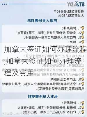 加拿大签证如何办理流程,加拿大签证如何办理流程及费用